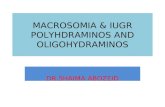 MACROSOMIA & IUGR POLYHDRAMINOS AND OLIGOHYDRAMINOS DR.SHAIMA ABOZEID.