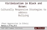 Victimization in Black and Brown: Culturally Responsive Strategies to address Bullying Jamilia J. Blake, Ph.D. (Peer Aggression in Ethnic Minority Youth)