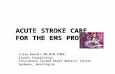 ACUTE STROKE CARE FOR THE EMS PROVIDER Julie Berdis-RN,BSN,CNRN, Stroke Coordinator Providence Sacred Heart Medical Center Spokane, Washington.