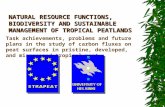 NATURAL RESOURCE FUNCTIONS, BIODIVERSITY AND SUSTAINABLE MANAGEMENT OF TROPICAL PEATLANDS Task achievements, problems and future plans in the study of.