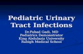 Pediatric Urinary Tract Infections Dr.Fahad Gadi, MD Pediatrics Demonstrator King Abdulaziz University Rabigh Medical School.