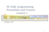 1 PL/SQL programming Procedures and Cursors Lecture 1 Akhtar Ali.
