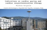 Indications on cardiac pacing and cardiac resynchronization therapy Michele Brignole Centro Aritmologico, Ospedali del Tigullio, Lavagna, Italy.