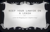 KEEP YOUR LAWYER ON A LEASH Is the Tail Wagging your Litigation Dog?