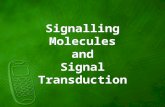 Signalling Molecules and Signal Transduction. Signalling molecules The cells of an organism are constantly receiving information about their surrounding.