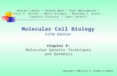 Molecular Cell Biology Fifth Edition Chapter 9: Molecular Genetic Techniques and Genomics Copyright © 2004 by W. H. Freeman & Company Harvey Lodish Arnold.