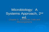 Microbiology: A Systems Approach, 2 nd ed. Chapter 5: Eukaryotic Cells and Microorganisms.
