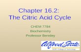 Chapter 16.2: The Citric Acid Cycle CHEM 7784 Biochemistry Professor Bensley.