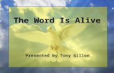 The Word Is Alive Presented by Tony Gillon. The Word Is Alive An in depth look at God’s Word. Key to document structure. David wrote: In God, whose word.