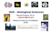 NSF - Biological Sciences Muriel Poston, Ph.D. mposton@nsf.gov National Science Foundation 2005.