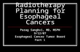 Radiotherapy Planning for Esophageal Cancers Parag Sanghvi, MD, MSPH 9/12/07 Esophageal Cancer Tumor Board Part 1.
