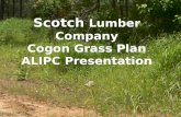 Scotch Lumber Company Cogon Grass Plan ALIPC Presentation.