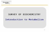 1 SURVEY OF BIOCHEMISTRY Introduction to Metabolism.