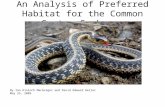 An Analysis of Preferred Habitat for the Common Garter Snake By Ian Kinloch MacGregor and David Edward Heller May 25, 2005.