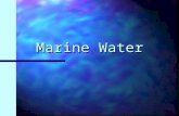 Marine Water. n Marine waters may be fully saline, brackish or almost fresh. Marine habitats include those below spring high tide limit (or below mean.