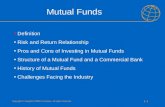 Copyright © Houghton Mifflin Company. All rights reserved. 1–01–0 Mutual Funds Definition Risk and Return Relationship Pros and Cons of Investing in Mutual.