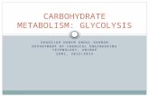 KHADIJAH HANIM ABDUL RAHMAN DEPARTMENT OF CHEMICAL ENGINEERING TECHNOLOGY, UNIMAP SEM1, 2013/2014 CARBOHYDRATE METABOLISM: GLYCOLYSIS.