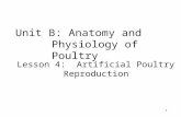 Unit B: Anatomy and Physiology of Poultry Lesson 4: Artificial Poultry Reproduction 1 1.