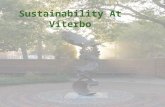 Sustainability At Viterbo. Business Investment in Sustainability Businesses are investing heavily. – 92% of companies addressing issues of sustainability.