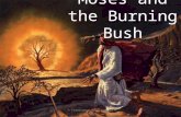 Moses and the Burning Bush © Farmington Trust: Julie Neil.