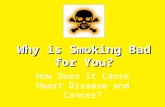 Why is Smoking Bad for You? How Does it Cause Heart Disease and Cancer?