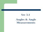 Sec 3.1 Angles & Angle Measurements. Classify angles as acute, obtuse, right, or straight. Measure/Draw angles by using a protractor. Objective: What.