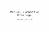 Manual Lymphatic Drainage Tasha Kelsch. OBJECTIVES: Develop a basic understanding of the lymphatic system and how it functions. Identify major lymph nodes.