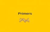 Primers. What is a primer? Primers are oligonucleotides, small pieces of RNA or DNA up to 30 base pairs long (a bigger piece is known as a polynucleotide)