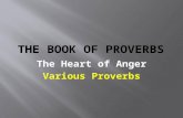 The Heart of Anger Various Proverbs.  We have seen that the book of Proverbs was written to give us wisdom and that wisdom is what gives us the skill.