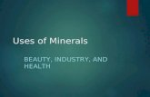 Uses of Minerals BEAUTY, INDUSTRY, AND HEALTH. Gems  Gems are valuable because they are rare and beautiful.