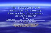 The Structure and Function of Sensory Processing Disorders: Working to Benefit from ADD/ADHD to Autism Charles W Chapple, DC, FICPA 360 E Irving Park RD,