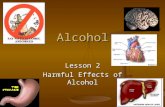 Alcohol Lesson 2 Harmful Effects of Alcohol. Short Term effects of drinking Brain: Effects are almost immediate, slows the CNS, Decision making is badly.