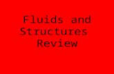 Fluids and Structures Review. What is a fluid? A fluid is something that flows and can be a liquid or gas. The two most common fluids are water and air.