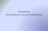 Kingdoms Archaebacteria and Eubacteria. KEY CONCEPT Kingdoms Eubacteria and Archaeabacteria are composed of single-celled prokaryotes.