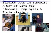 Service Dogs in Schools: A Way of Life for Students, Employees & Administrators.