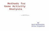 Methods for Gene Activity Analysis By Auni Hovanesian Krista Templeton.