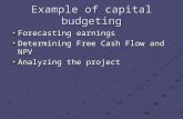Example of capital budgeting Forecasting earnings Determining Free Cash Flow and NPV Analyzing the project.