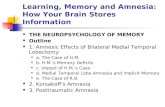 Learning, Memory and Amnesia: How Your Brain Stores Information THE NEUROPSYCHOLOGY OF MEMORY Outline 1. Amnesic Effects of Bilateral Medial Temporal Lobectomy.