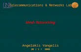 Telecommunications & Networks Lab Mesh Networking Angelakis Vangelis 20 / 1 / 2005.