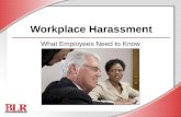 Workplace Harassment What Employees Need to Know.