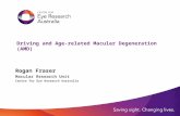 Driving and Age-related Macular Degeneration (AMD) Rogan Fraser Macular Research Unit Centre for Eye Research Australia.