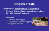 Origins of Life Early Idea: Spontaneous Generation –The idea that non-living material can produce life—Life magically appears! –Examples Meat produces.