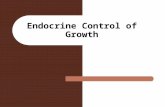 Endocrine Control of Growth. Endocrine glands Pituitary Anterior pituitary - oral ectoderm. Posterior pituitary - neuroectoderm. Hypothalamic hormones.