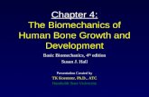 Chapter 4: The Biomechanics of Human Bone Growth and Development Basic Biomechanics, 4 th edition Susan J. Hall Presentation Created by TK Koesterer, Ph.D.,