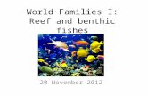 World Families I: Reef and benthic fishes 20 November 2012.