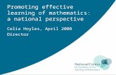 Promoting effective learning of mathematics: a national perspective Celia Hoyles, April 2008 Director.