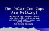 The Polar Ice Caps Are Melting! My Earth Day project about how the polar ice caps are melting and polar bears are going extinct. By: Grace Wilkins.