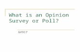 What is an Opinion Survey or Poll? GV917. Opinion Surveys and Polls An Opinion Survey is a conversation between people made possible by a relationship.