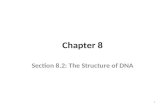Chapter 8 Section 8.2: The Structure of DNA 1. Objectives SWBAT describe the interaction o the four nucleotides that make up DNA. SWBAT describe the three-dimensional.