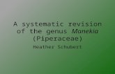 A systematic revision of the genus Manekia (Piperaceae) Heather Schubert.